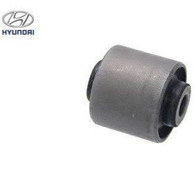 بوش بازویی سانتافه CARISO